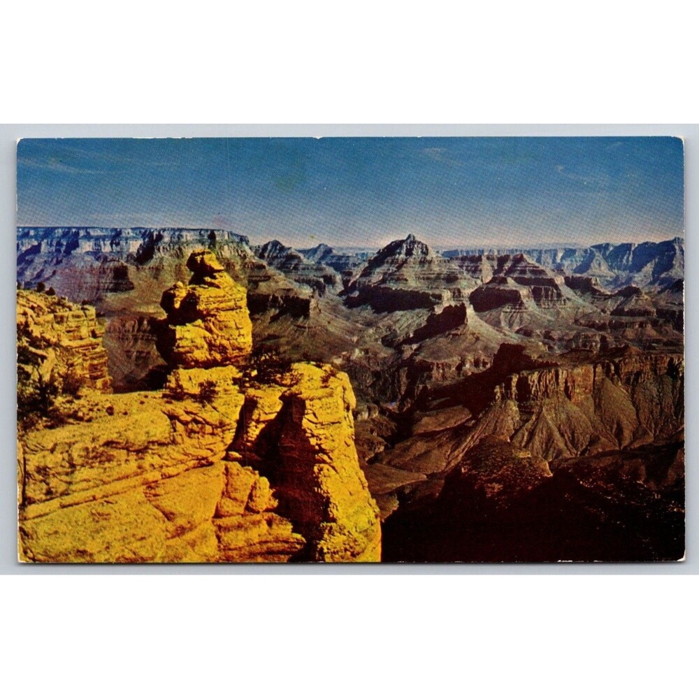Vintage Grand Canyon Postcard Duck on a Rock Mike Roberts Intermountain C835a
